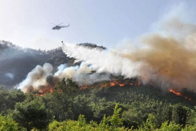 Antalya'da 22 yangın &ccedil;ıktı! 3 g&uuml;n i&ccedil;inde 80 dekar alan k&uuml;l oldu