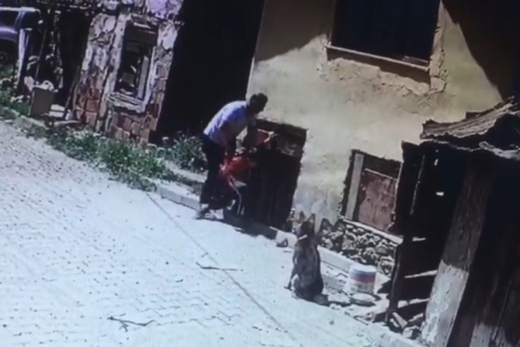 Yaramazlık yaptı diye 8 yaşındaki &ccedil;ocuğu k&ouml;peklerin &ouml;n&uuml;ne attı