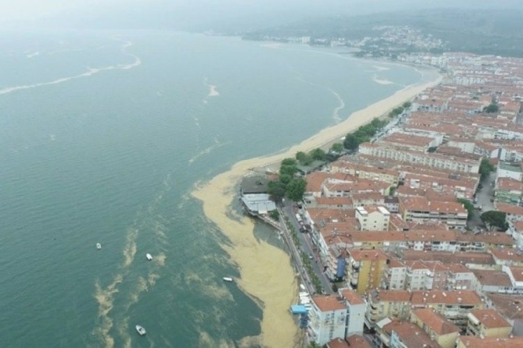 Bursa Gemlik Körfezi'ndeki salya istilası havadan görüntülendi