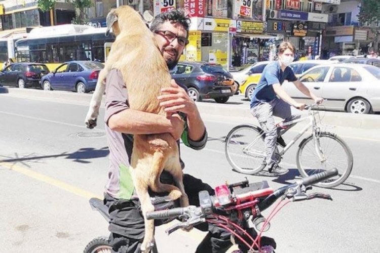 Yaralı k&ouml;peği taksiler alamayınca bisiklet kiraladı