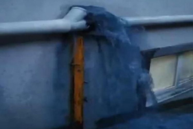Mavi su bu kez iş yerlerine aktı: Sokak köpekleri içip ölüyor