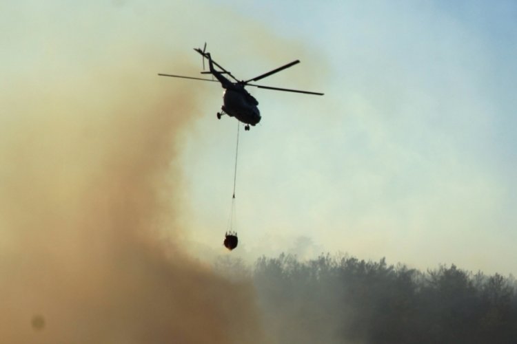 Muğla'daki yangın 10 saat sonra kontrol altına alındı