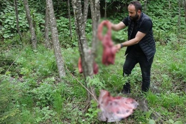 Profes&ouml;rden &ouml;nlem uyarısı: Sayıları artıyor insana y&ouml;nelecek