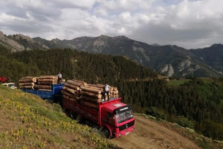 2 bin rakımda ekmek parası i&ccedil;in tehlikeli yolculuk
