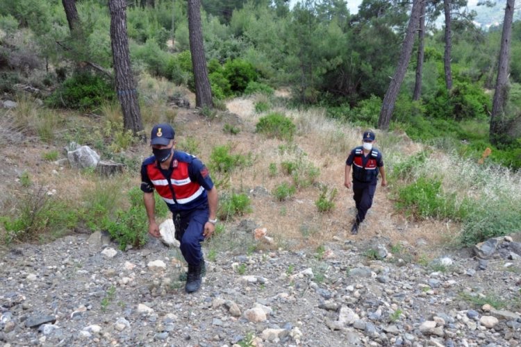 Kayıp kamp&ccedil;ıyı arama &ccedil;alışmaları 11'inci g&uuml;n&uuml;nde