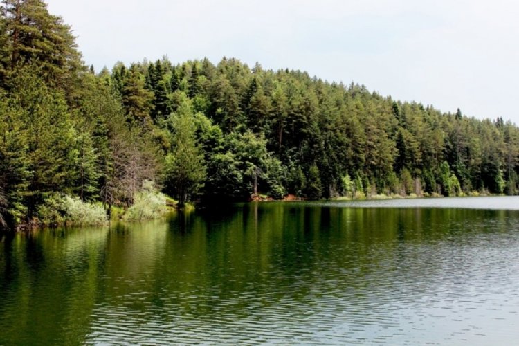 G&ouml;llerdeki oksijen seviyesi de t&uuml;kenmek &uuml;zere!
