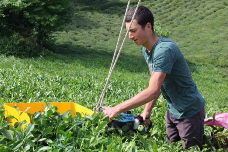 Rizeli kıvrak zekasıyla yine şaşırtmadı