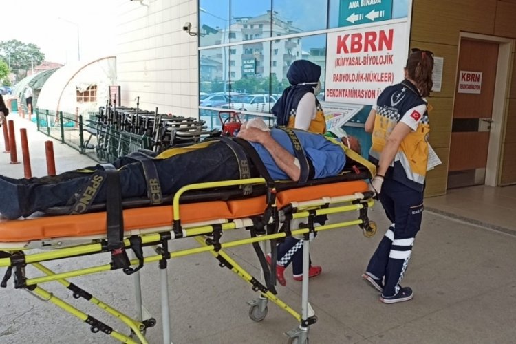Bursa'da asma ağacından düşen çiftçi yaralandı