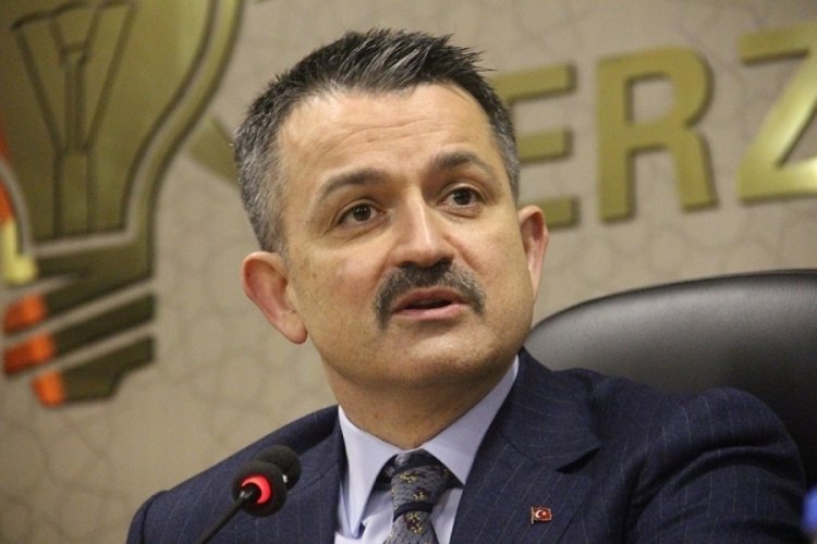 Bakan Pakdemirli: Su &uuml;r&uuml;nleri ihracatımız 1 milyar 63 milyon dolara ulaştı
