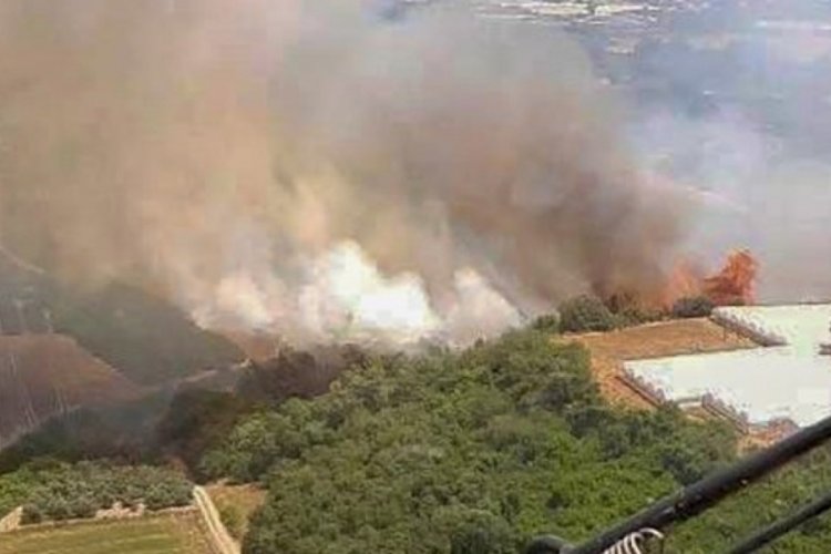 Antalya'da iki noktada orman yangını
