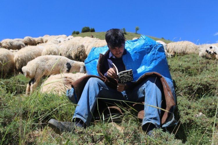Tunceli yaylalarından Robert Koleji'ne...