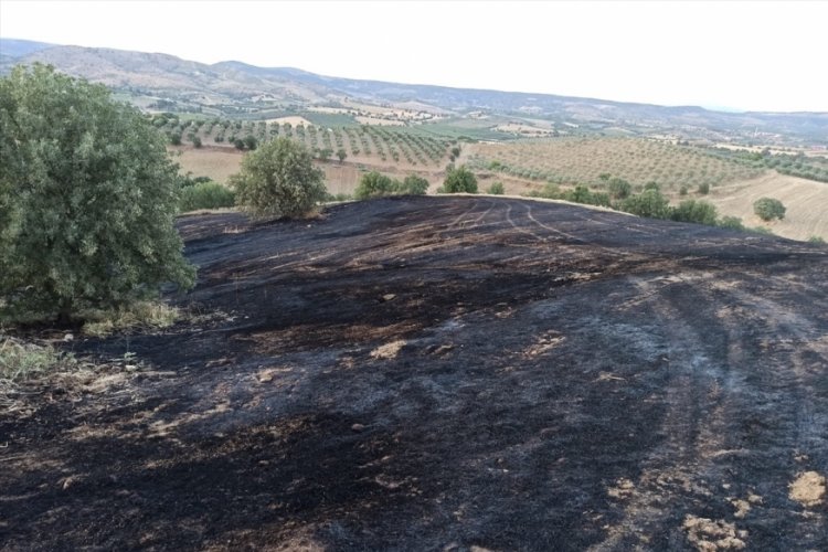 Manisa'daki yangında, arpa tarlası zarar g&ouml;rd&uuml;