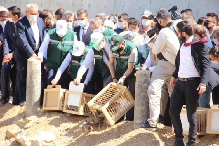 20 bin dekarlık alan &Ccedil;ay Barajı sayesinde sulanacak