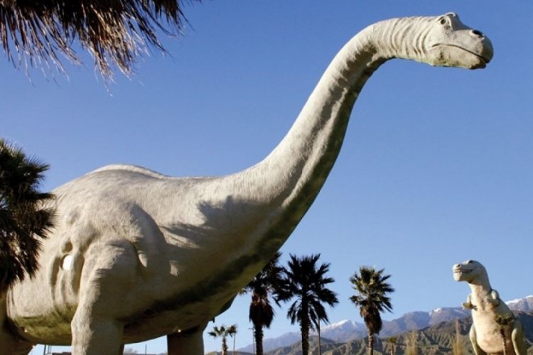 D&uuml;nyanın en b&uuml;y&uuml;k dinozorlarından biri keşfedildi: 67 ton ağırlığında