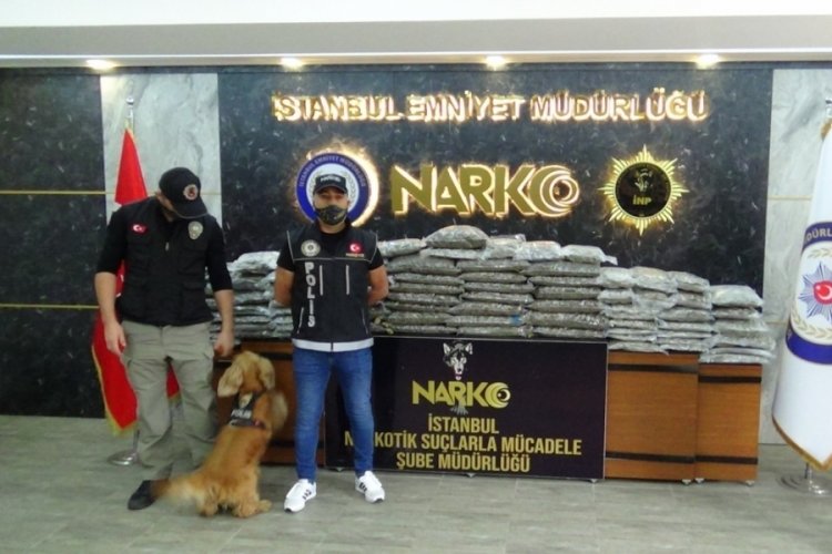 Narkotik k&ouml;peği 'Alex' tırda 60 kiloya yakın uyuşturucu buldu