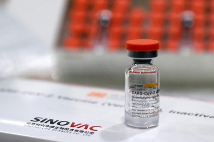 Türkiye'den Kıbrıs'a 50 bin doz Sinovac aşısı