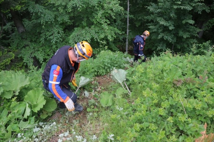 Devrilen ağacın altında kalan iş&ccedil;i hayatını kaybetti