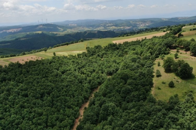 Bursa Nilüfer'e güneş enerjisi santrali kuruluyor