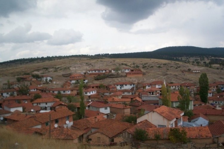 K&uuml;tahya'da iki k&ouml;y karantinaya alındı