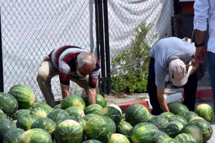Tarsus Belediyesi, 15 ton karpuzu halka ücretsiz dağıttı