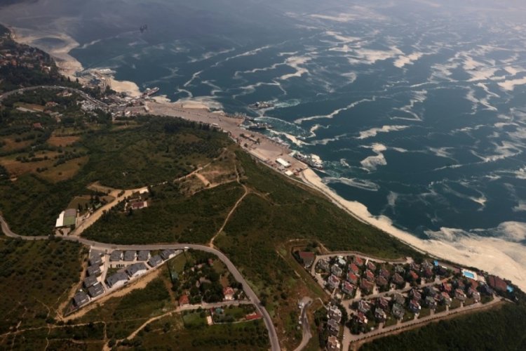 Marmara Denizi'ndeki müsilaj Bursa'da havalanan uçakla görüntülendi