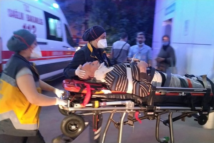 Erik toplamak için çıktığı ağaçtan düştü