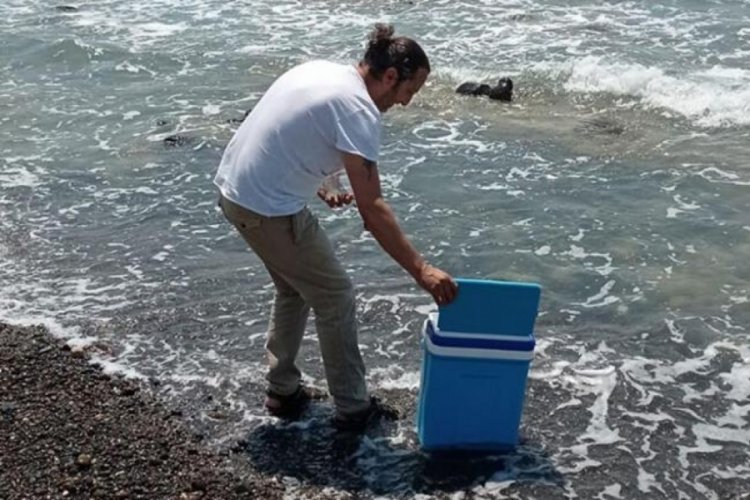 Hatay'daki endişelendiren g&ouml;r&uuml;nt&uuml;n&uuml;n salya olmadığı ortaya &ccedil;ıktı