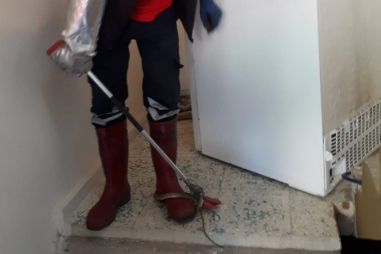 Tarsus�ta eve giren yılanı itfaiye ekipleri çıkarttı Güncel Haberler