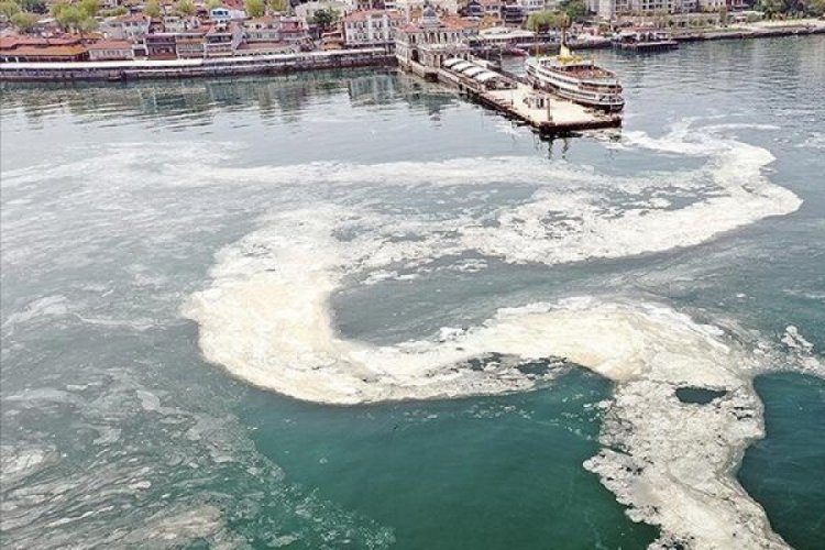 Bakan Kurum: 2684,5 metrek&uuml;p m&uuml;silajı bertarafa g&ouml;nderdik