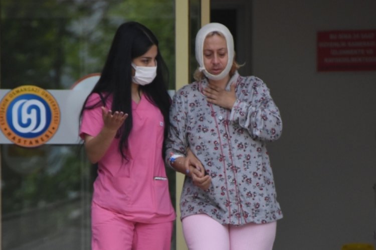 K&ouml;pek beslerken saldırıya uğrayan kadın: Tek su&ccedil;um hayvanları doyurmak