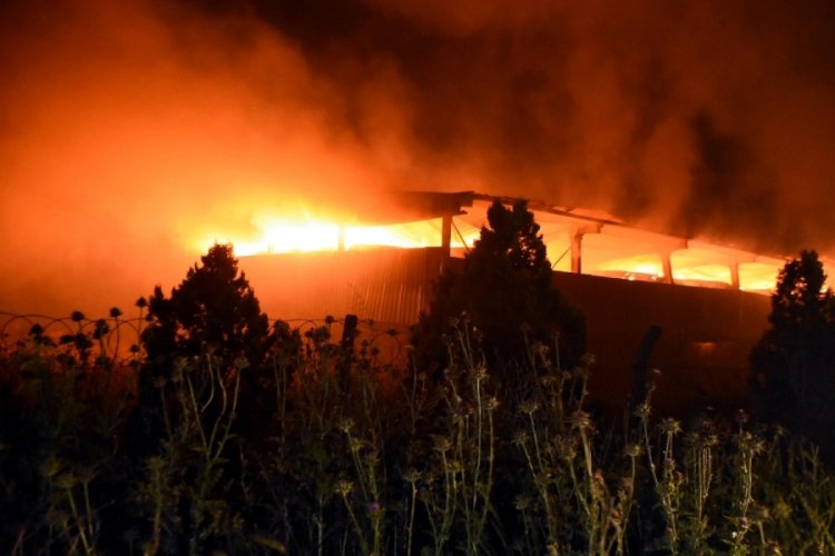 Binlerce b&uuml;y&uuml;kbaşın bulunduğu &ccedil;iftliğin yem deposu yandı
