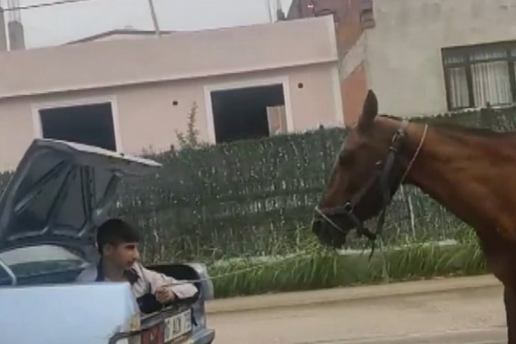 Bursa'da otomobilin bagajındaki kişi, ipe bağlı atı koşturdu