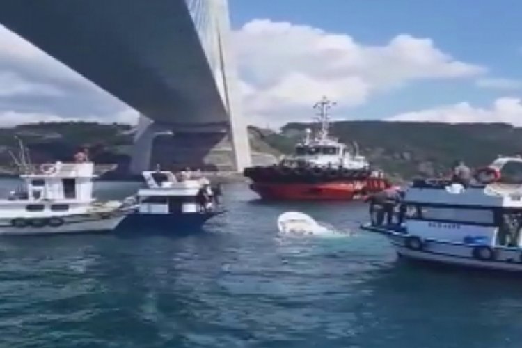 İstanbul'da bir gemi balık&ccedil;ı teknesine &ccedil;arptı: 2 &ouml;l&uuml;