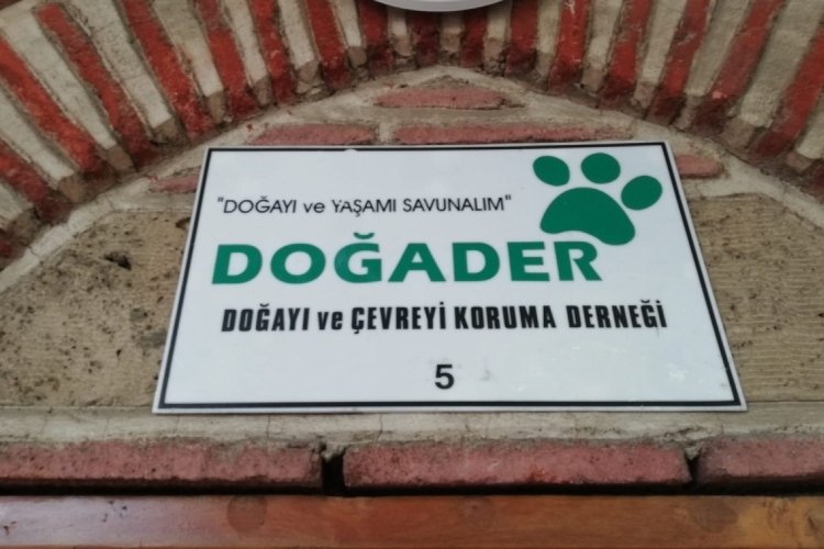 Bursa'da içilebilir nitelikte doğan Nilüfer Çayı'ndaki suda canlı yaşamıyor! (ÖZEL HABER)