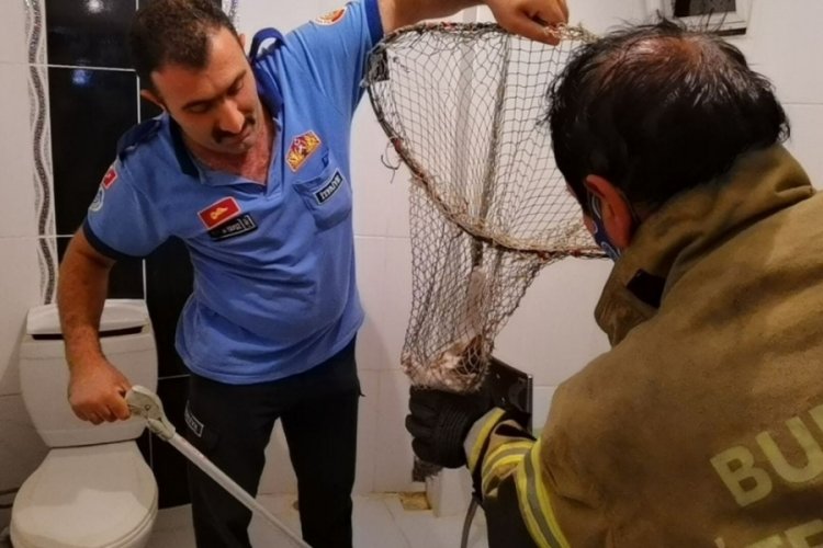 Bursa'da havalandırma boşluğuna d&uuml;şen yavru kedi kurtarıldı