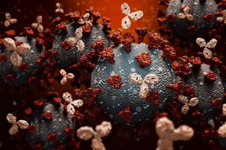 Aşılar, Hindistan mutasyonuna karşı etkili mi?