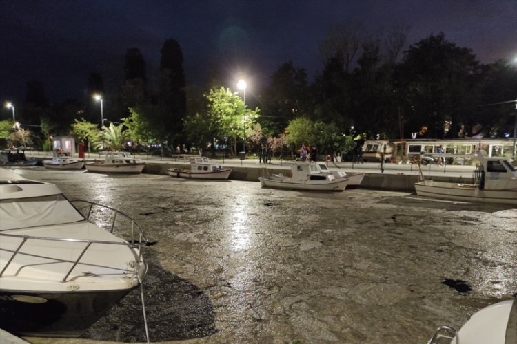 İstanbul'daki atık su incelemesinde en &ccedil;ok kullanılan maddeler: Alkol, t&uuml;t&uuml;n ve esrar