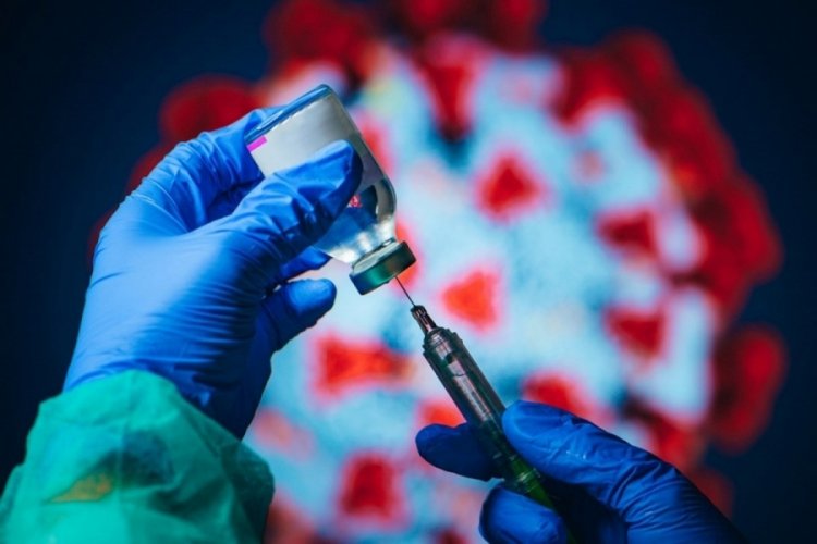 Araştırma: BioNTech aşısı, Sinovac'tan daha güçlü antikor tepkisi gösteriyor