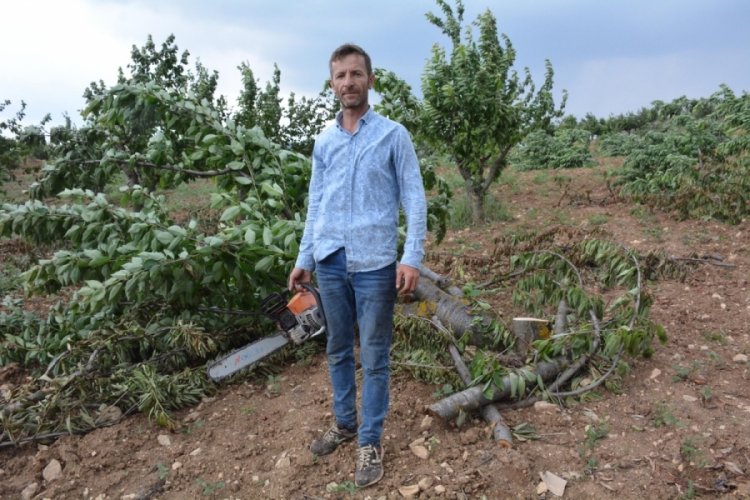 'Bah&ccedil;ede 2 lira olan kiraz tezgahta 15 lira' diyerek ağa&ccedil;larını kesmeye başladı