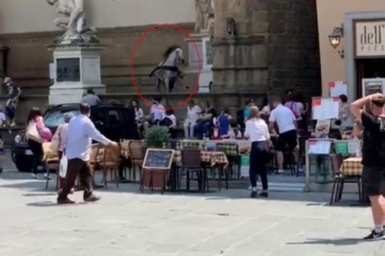 Kızgın at, &uuml;nl&uuml; meydanı birbirine kattı
