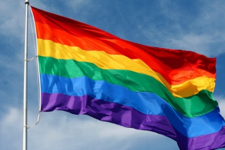 Macaristan'da eşcinsellik karşıtı yasa onaylandı