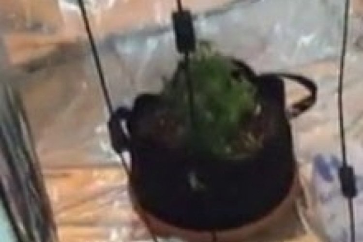 Narkotik baskınında 1 kilo 268 gram uyuşturucu madde ele ge&ccedil;irildi