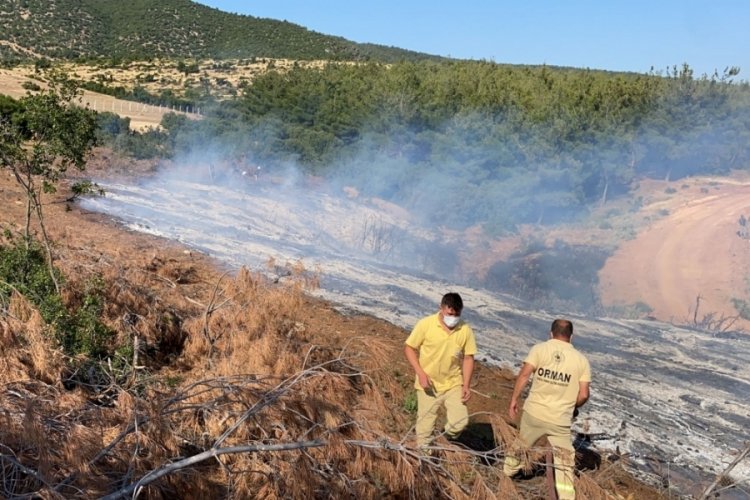 Turgutlu'da ormanlık alanda &ccedil;ıkan yangın s&ouml;nd&uuml;r&uuml;ld&uuml;