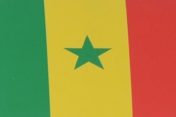 Senegal'de ceza kanunundaki tartışmalı değişiklik teklifi meclisten ge&ccedil;ti