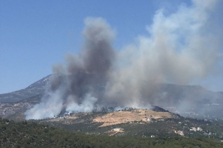 Kaş'ta orman yangını yerleşim alanına yaklaştı