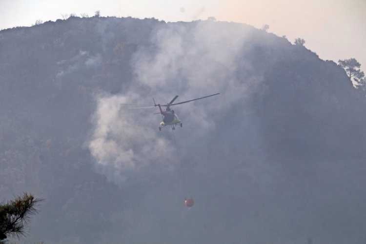 Antalya'daki yangınlarda bin dönüm alan küle döndü