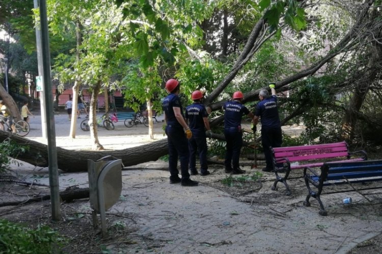 &Ccedil;ocuklar oyun oynarken parktaki ağa&ccedil; devrildi