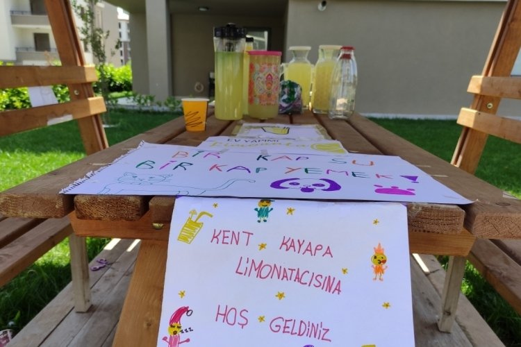 Bursa'da sokak hayvanları i&ccedil;in limonata yapıp satıyorlar