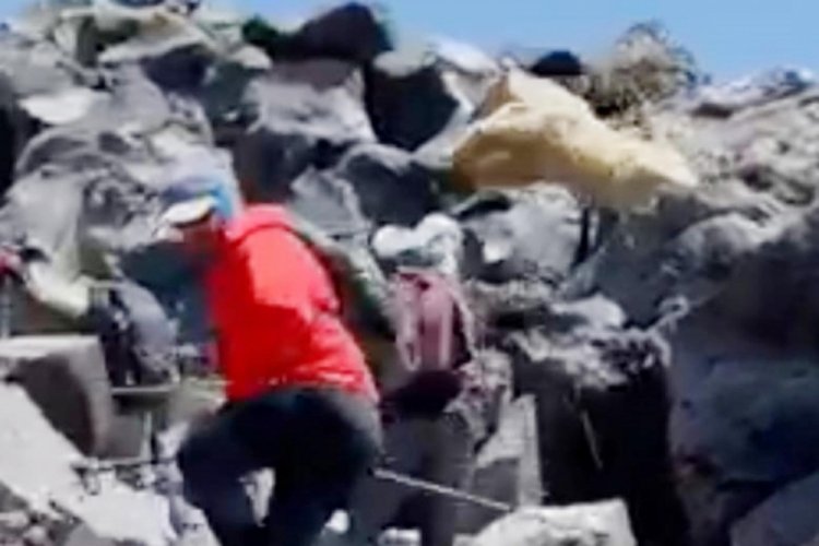 Ağrı Dağı'nda dağcıların ayı kabusu