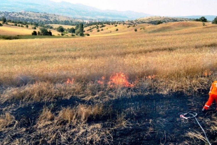 Y&uuml;ksek gerilim hattı koptu, 3 dekar ekili alan yandı